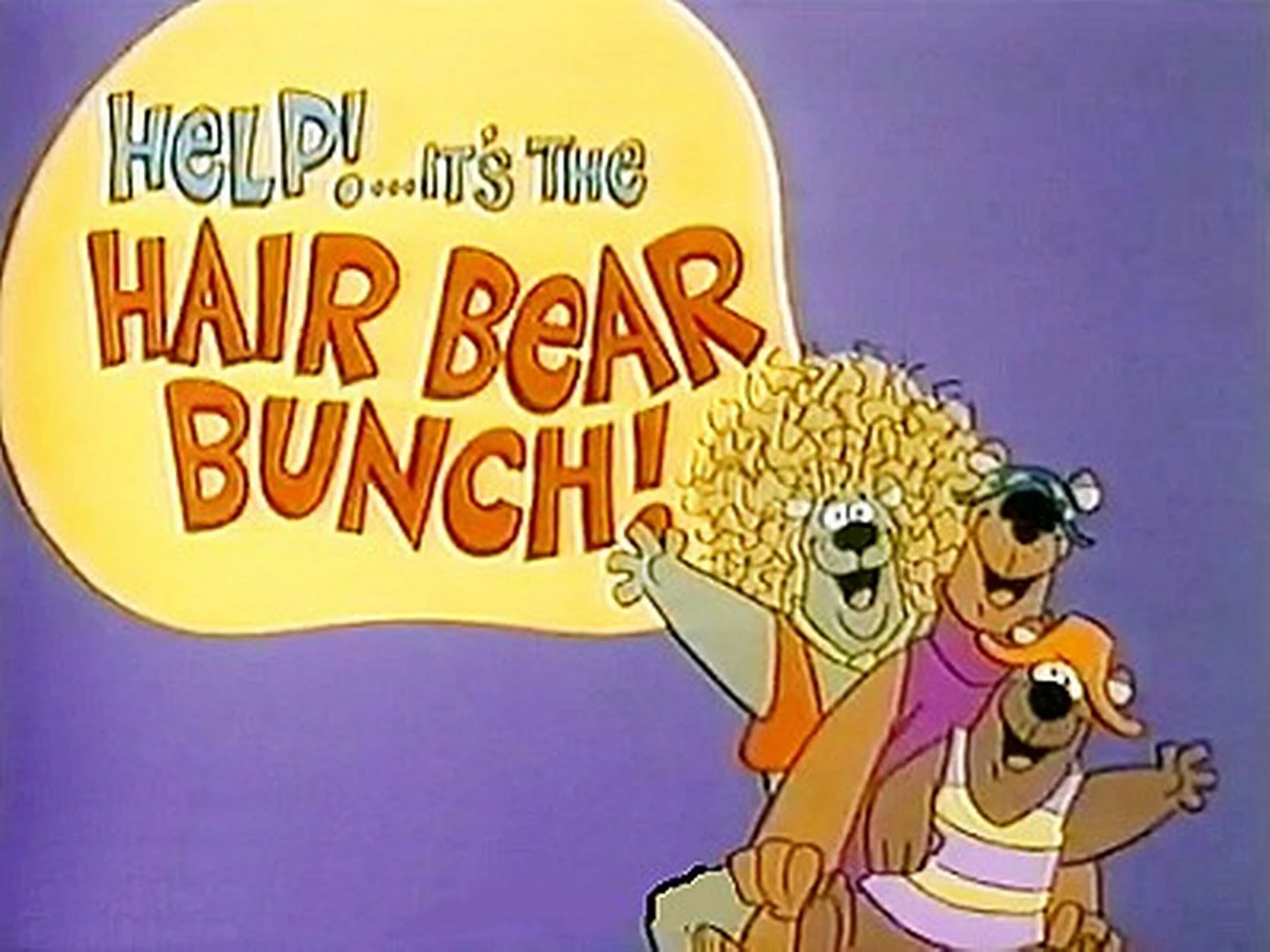 Urso do Cabelo Duro