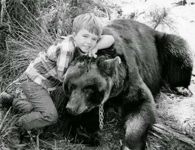 Ben, o Urso Amigo (Gentle Ben) 1967