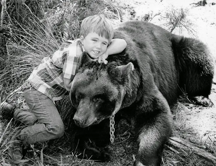 Ben, o Urso Amigo (Gentle Ben) 1967