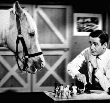 Mister Ed, o Cavalo Falante - 1961