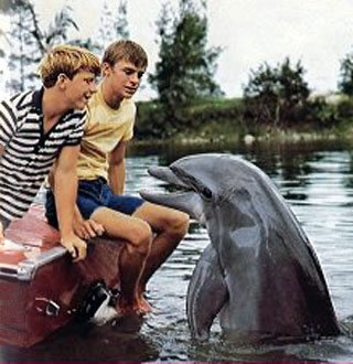 Flipper - 1964