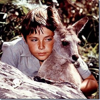 Skippy, o cangurú - 1961