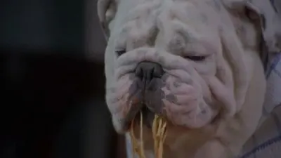 O Poderoso Cachorrão